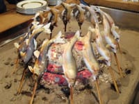 食通の聖地「柳家」日本各地の美食家が集う囲炉裏へ♪