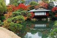 神戸の名庭園とVブリッジ