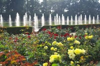 春薔薇を撮りに行きましょう♪o(^▽^)o・・お花いっぱいの神代植物公園・・
