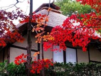 紅葉と古民家を撮りに行きましょうo(^▽^)o・・生田緑地と日本民家園♪