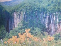 米子大瀑布（日本の滝百選）新緑トレッキング！