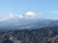 富士山展望の大野山へ