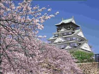 桜満開・大阪城でお花見〜♪♪