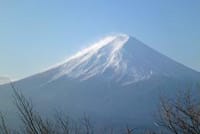 『新春』足柄峠で大きな富士山鑑賞