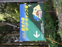 ワイワイキャンプ3 　道志の森キャンプ場