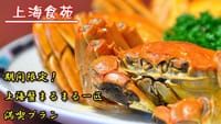【12/12】12月末までしか味わえない「上海蟹」一匹付