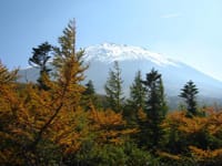 【雨天中止】　富士山お中道　御庭・奥庭ハイキング♪