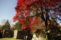 日本三大高い城〜名城高取城跡〜紅葉めぐり
