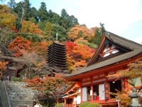 歴史街道〜奈良県、大和多武峰〜紅葉の談山神社