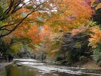 本州で1番遅い紅葉ハイキングを楽しみましょう！