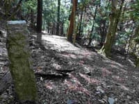 春日原始林ハイキングー滝坂の道〜地獄谷ルート