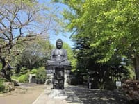 （中止）赤塚公園から東京大仏あたりへの散策