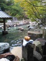 恒例年末箱根温泉！　今回は、おんりーゆ　ですよ！