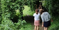 森林（もり）への誘い　第13回森林コミュ・プライベートツアー