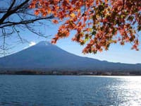 富士山と紅葉とイルミネーション