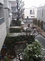 ＜東京都心も雪化粧！＞