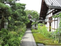 京都、ワンコと臨済禅は心を癒す？