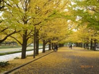楽しい散策オフ会と東京都の紅葉・イルミネーション丸の内情報