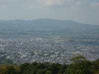 第2回 ＜春日山から飛火野あたり＞また歩きたい奈良の道?