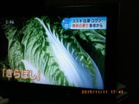 kyou　no　NEWS＿11.11