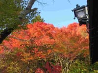 京都洛北に秋を求めて