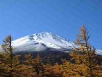 富士山とお座敷小唄