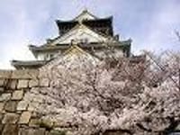 ◆　大阪城の桜をＨＰに掲載