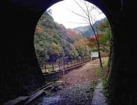 ★武田尾廃線跡を歩く・トンネルと紅葉
