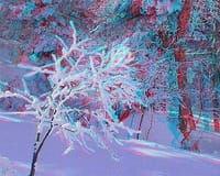 ◆　立体写真　／アナグリフによる雪の表情