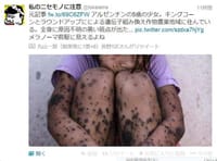 ◆　日本人はあらゆる汚染で殺される！