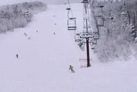 ◆　今シーズン初滑りのスキー