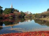 秋の東京をポタリング
