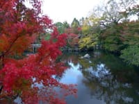 秋の京都をポタリング