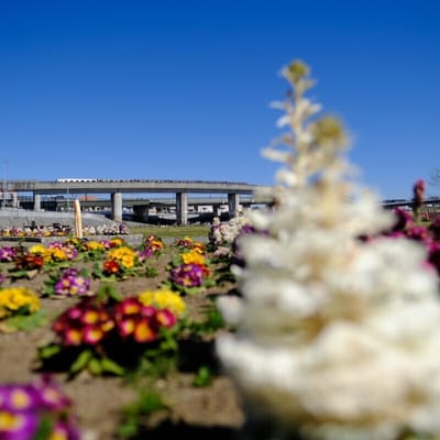 花壇のお花と横浜市営地下鉄