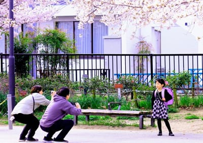 桜の下で・・・「入学記念写真」