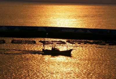 夕日の中を帰港する漁船