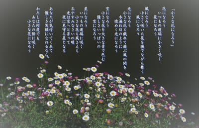 千伊さん作　写真詩「小さな花になろう」