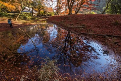 沼の水鏡を彩る紅葉2021 _01