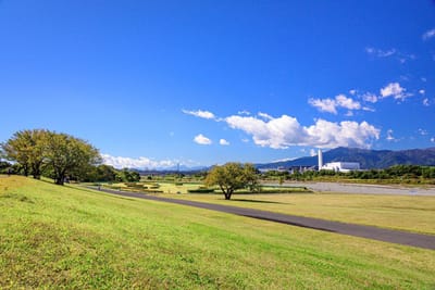 神奈川県立相模原三川公園の風景