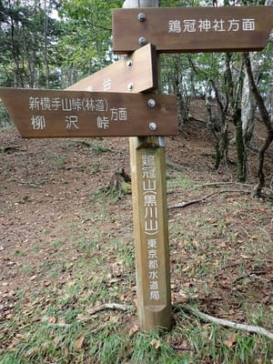 東京都はこんな分岐の低い所に山名版を付けちゃった　岩場の登りが危ないから？