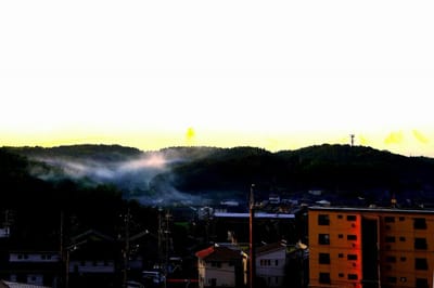 朝霧湧く丘