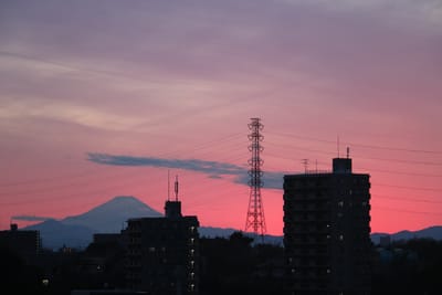 ピンクの夕陽に染まる富士山