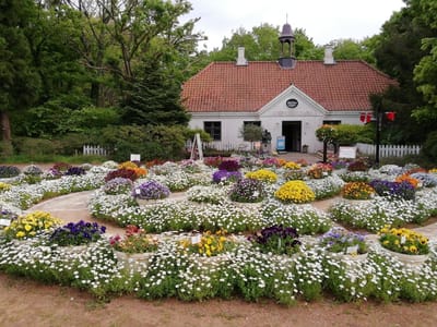 噴水近くの大型花壇　　　  花いっぱいのアンデルセン公園　　　　　4月22日