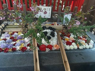 下谷神社の花手水