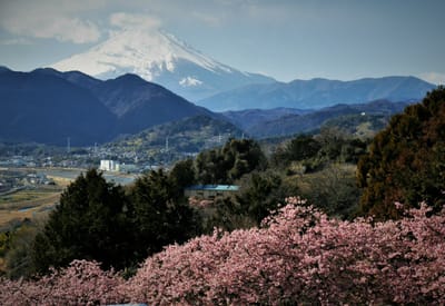 　🗻　松田町　"西平畑公園"　から見る富士山　🗻