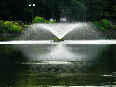池の噴水