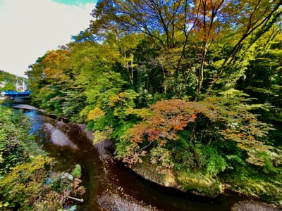 秋の平井川