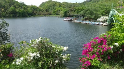 貴志川線沿いの散策−大池遊園
