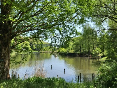 春の名残り、新緑を楽しむアンデルセン公園、里山の水辺