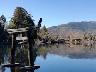 「湖の鳥居」　続金鱗湖　(福岡大分県ツアー２日目)　　2023年12月8日
